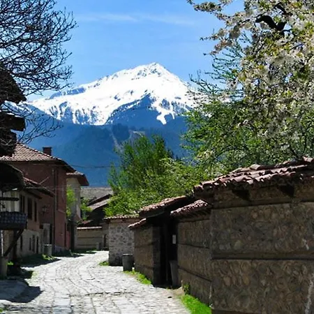 Luxurious Alpine In Posh Winter 公寓 班斯科