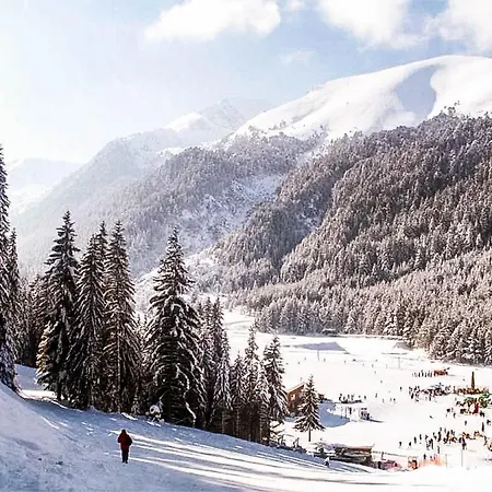 公寓 Luxurious Alpine In Posh Winter *