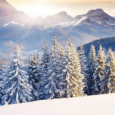 Luxurious Alpine In Posh Winter 公寓