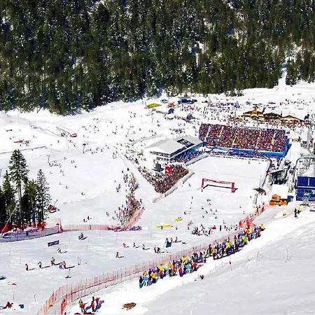 Luxurious Alpine In Posh Winter *