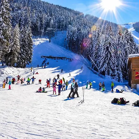 Luxurious Alpine In Posh Winter *