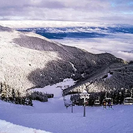 Luxurious Alpine In Posh Winter *